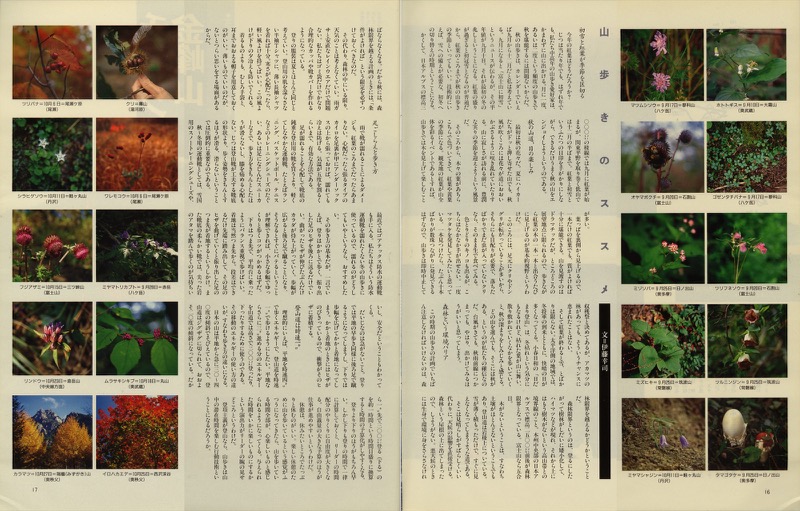 「アサヒグラフ」特集「秋の一日　山歩き」（朝日新聞社・1998.10.30号）