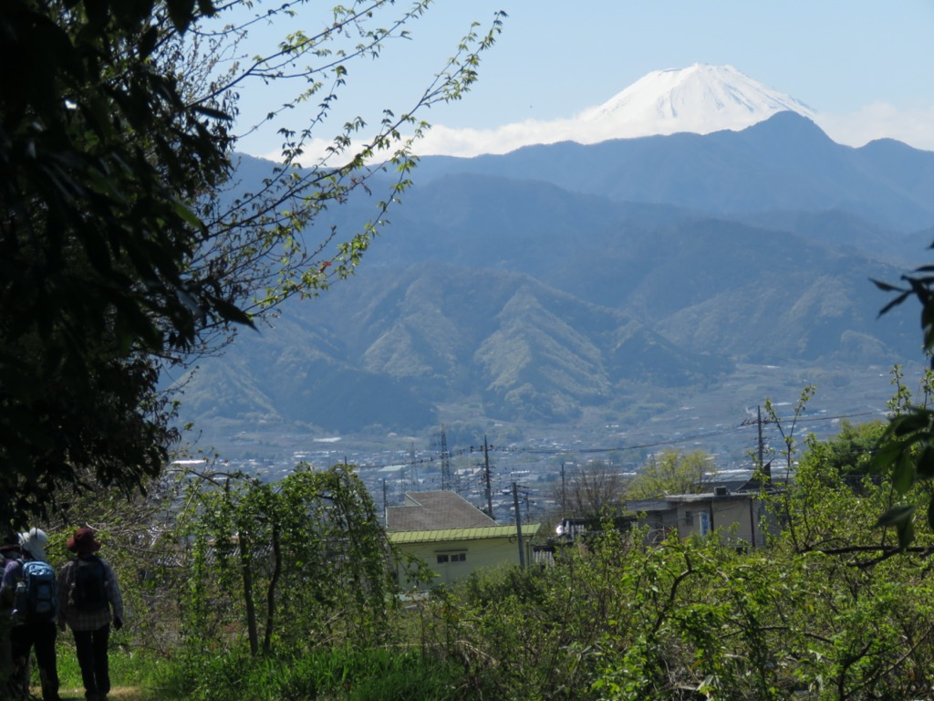 塩ノ山、見上げる富士山