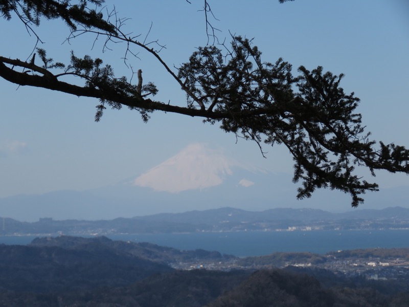 高宕山、山頂下分岐→高宕山、富士山