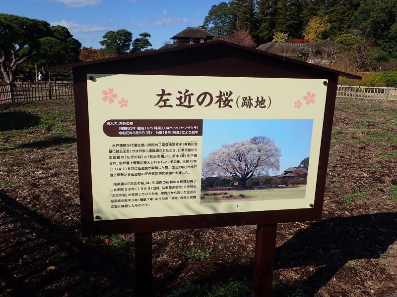 奥久慈・男体山から袋田の滝、水戸偕楽園、左近の桜跡