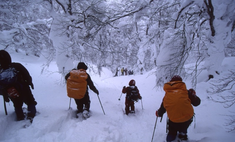 八甲田山