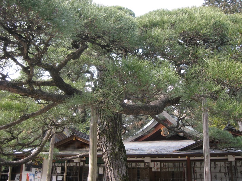 茶臼山