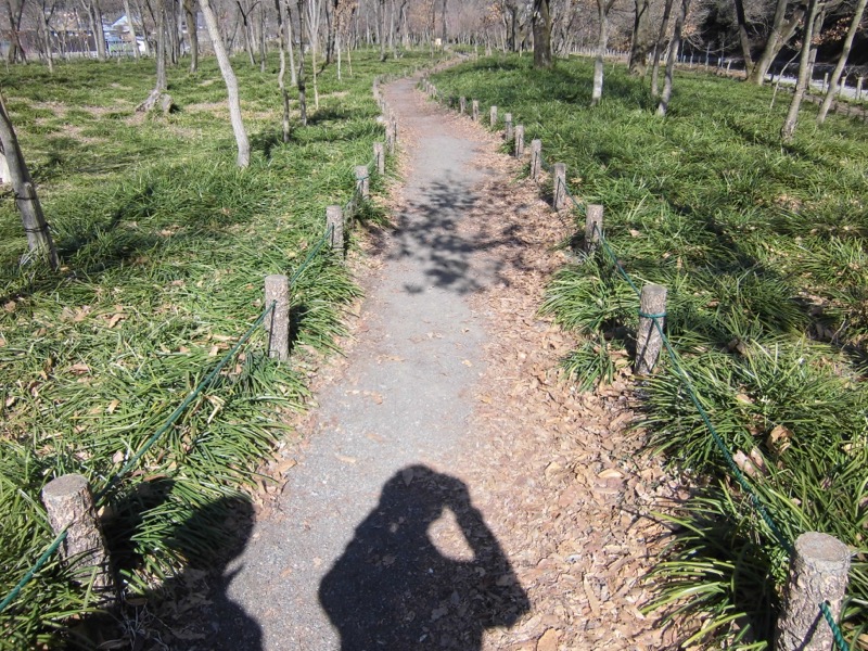 日和田山