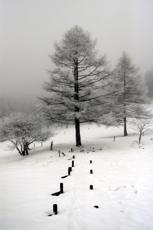 入笠山