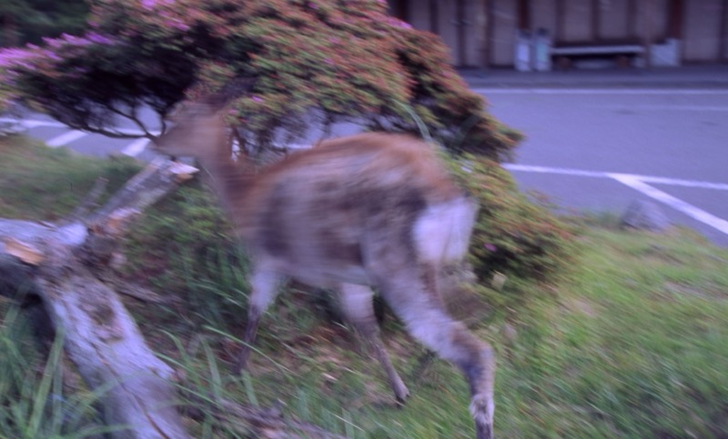 〓