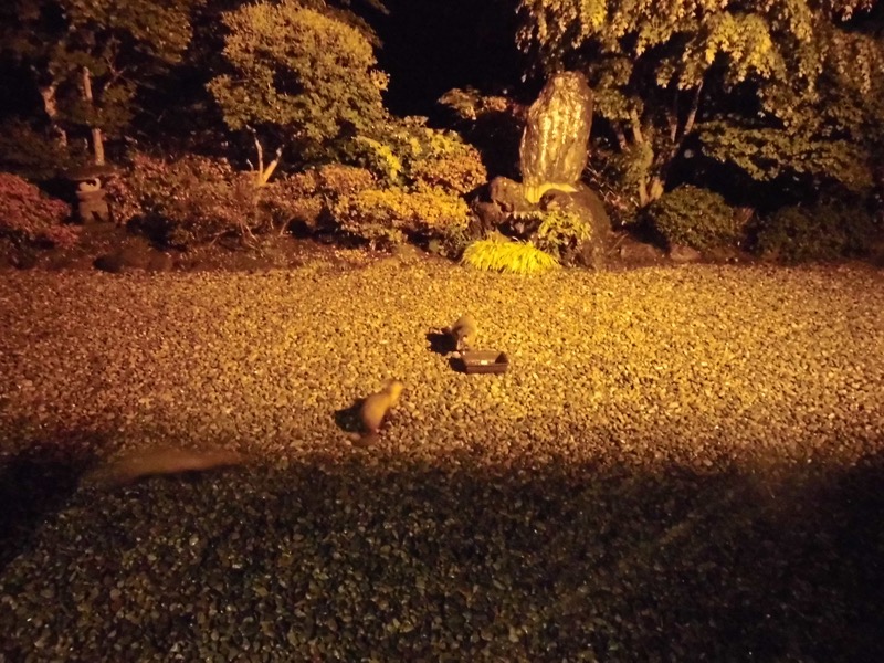 〓