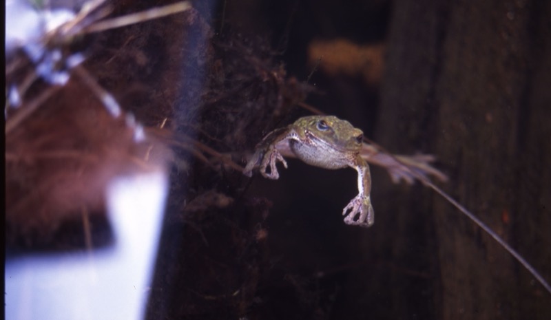 〓
