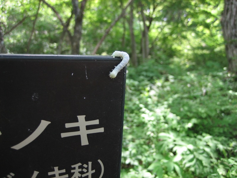 〓