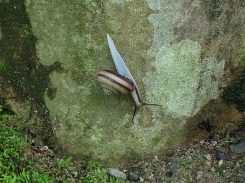 〓