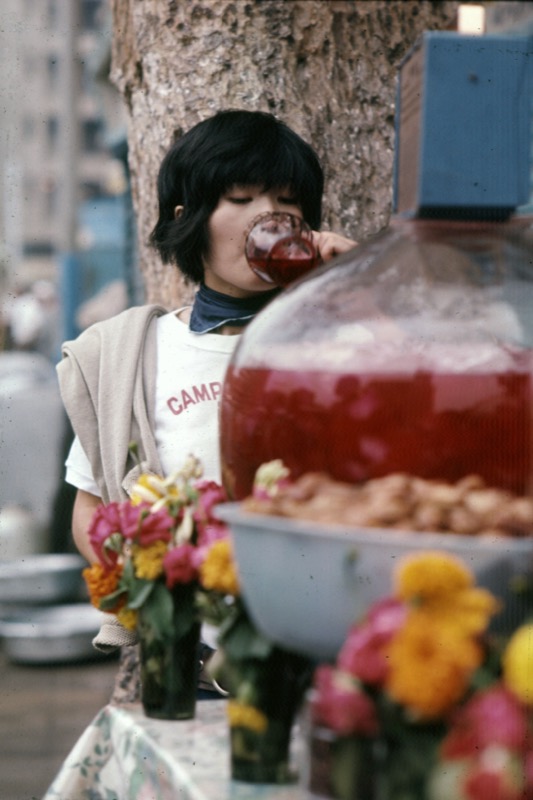 あむかす探検学校1972・カメルーン〜ザイール〜ケニア