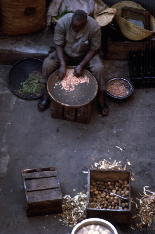 宮本常一 in kenya