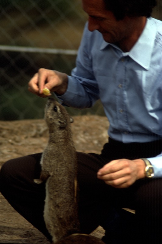 宮本常一 in kenya