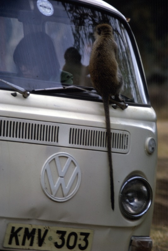 宮本常一 in kenya