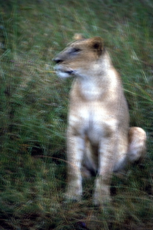 宮本常一 in kenya