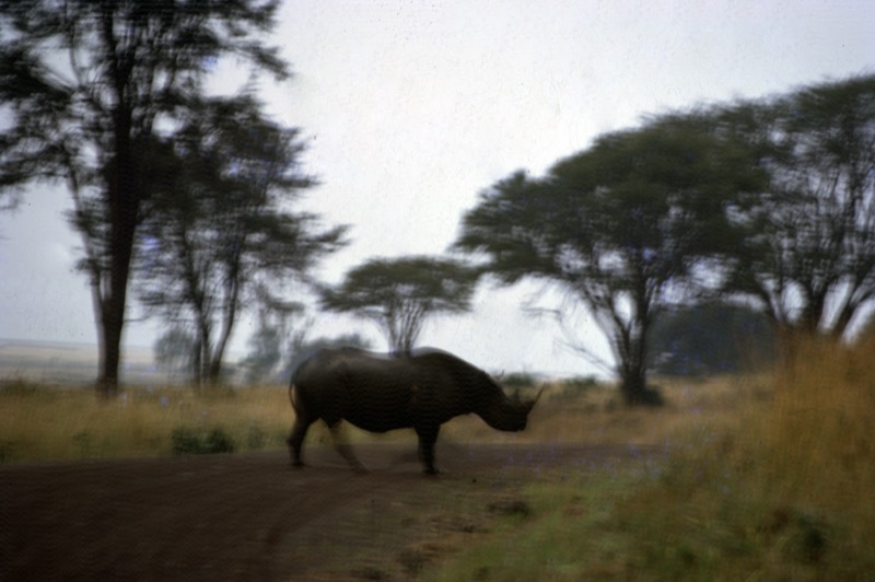 宮本常一 in kenya