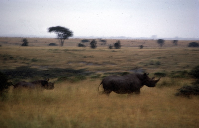 宮本常一 in kenya