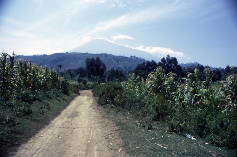 宮本常一 in tanzania