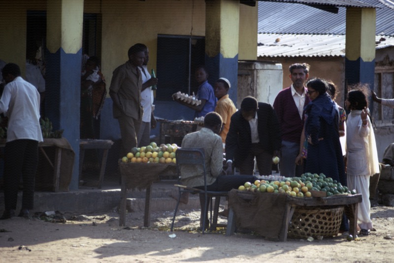 宮本常一 in tanzania