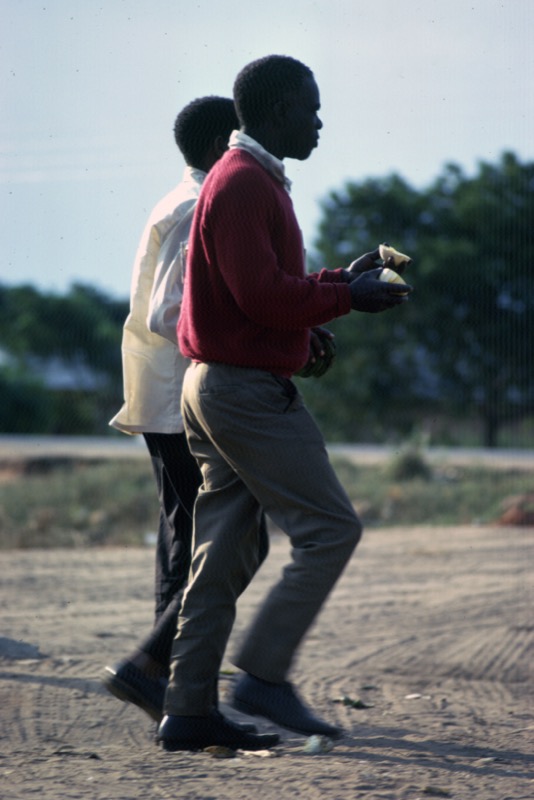 宮本常一 in tanzania