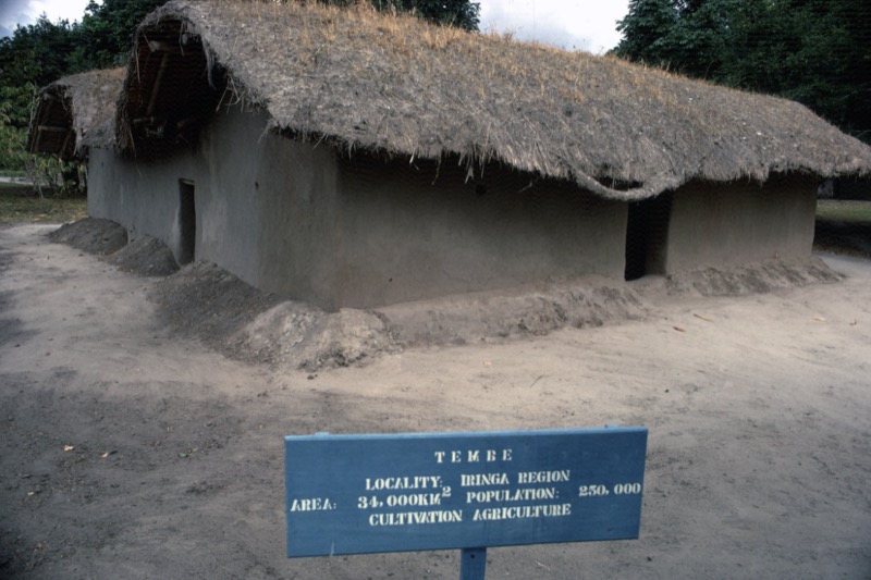 宮本常一 in tanzania