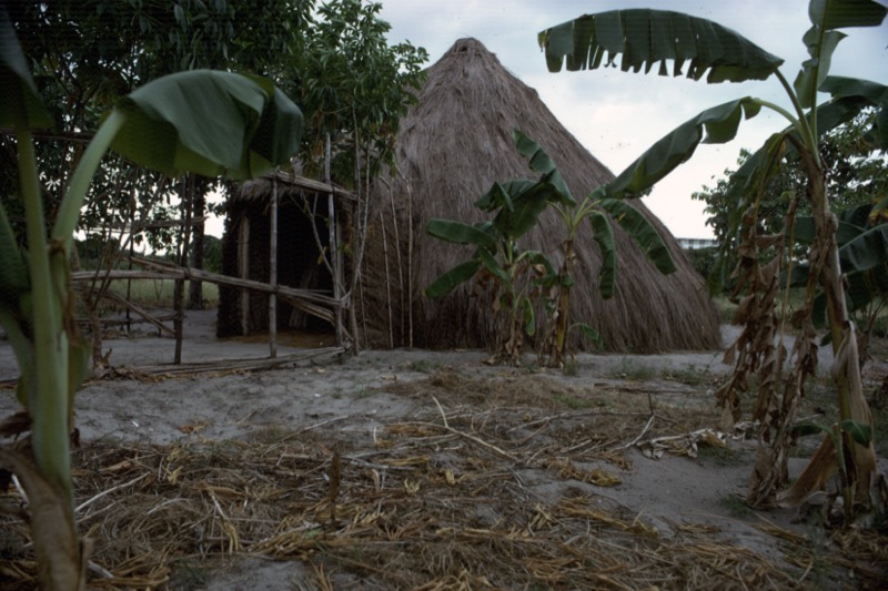 宮本常一 in tanzania