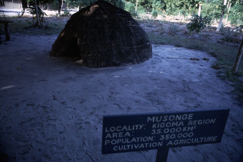 宮本常一 in tanzania