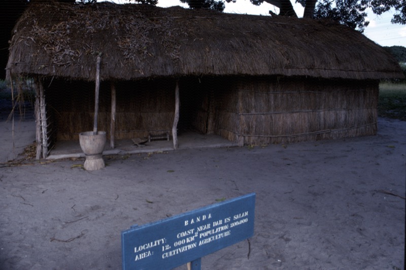 宮本常一 in tanzania