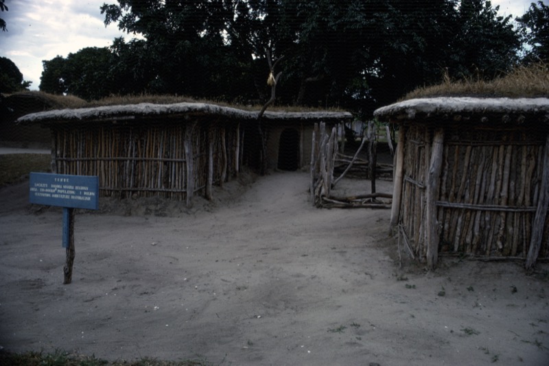 宮本常一 in tanzania