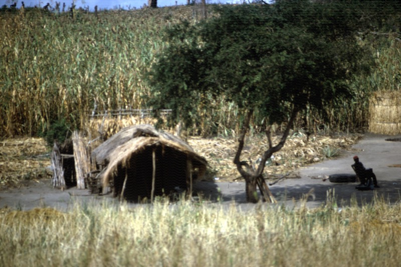 宮本常一 in tanzania