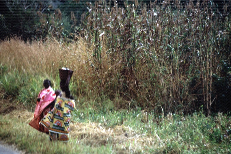 宮本常一 in tanzania