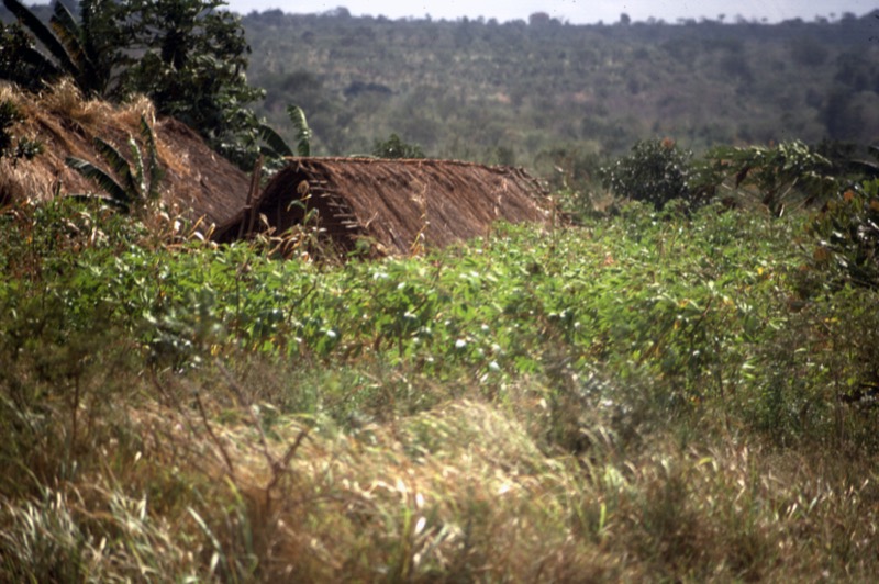 宮本常一 in tanzania