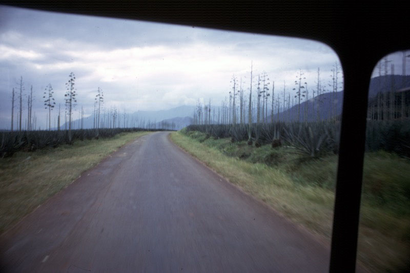 宮本常一 in tanzania