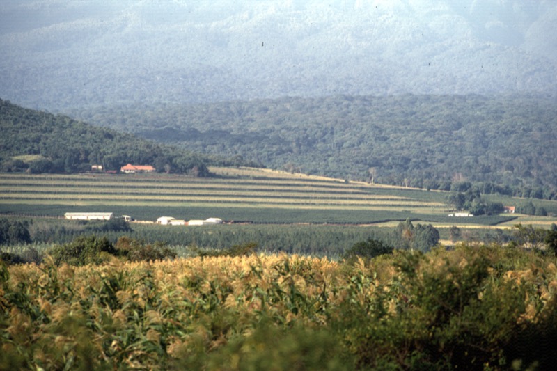 宮本常一 in tanzania