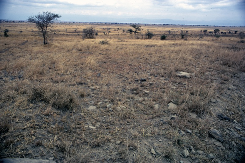 宮本常一 in tanzania