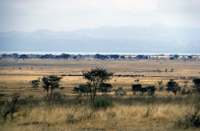 宮本常一 in tanzania