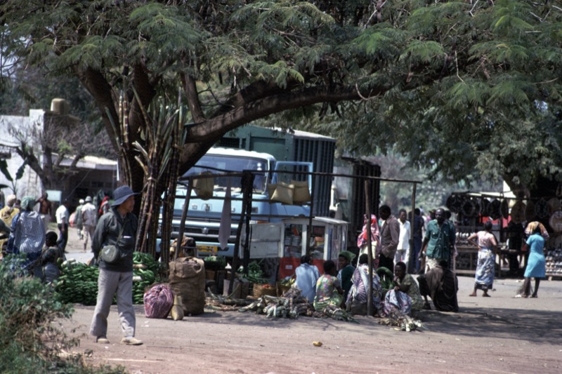 宮本常一 in tanzania