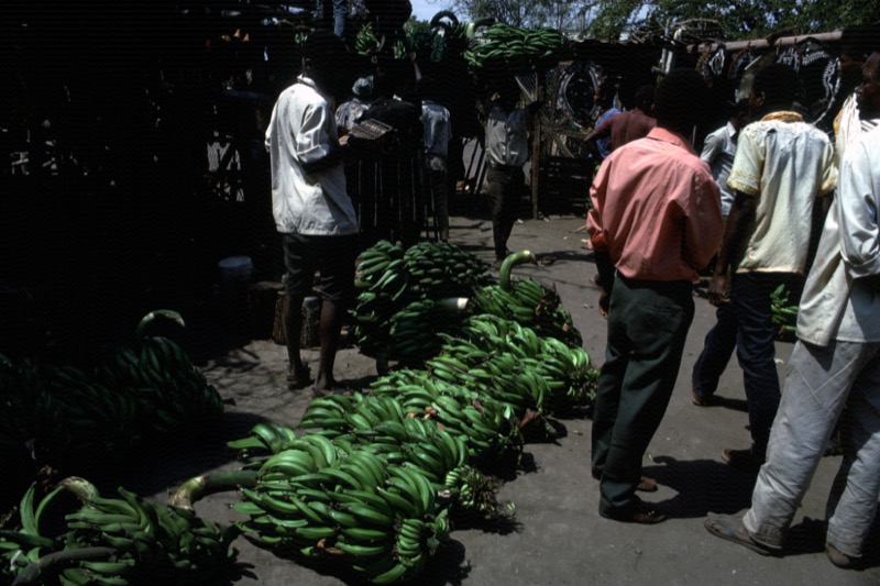 宮本常一 in tanzania