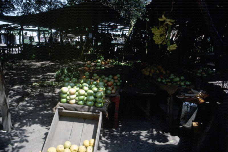 宮本常一 in tanzania