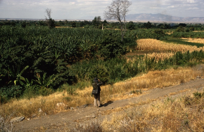 宮本常一 in tanzania