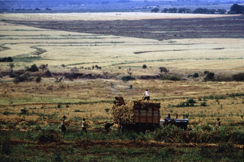 宮本常一 in tanzania