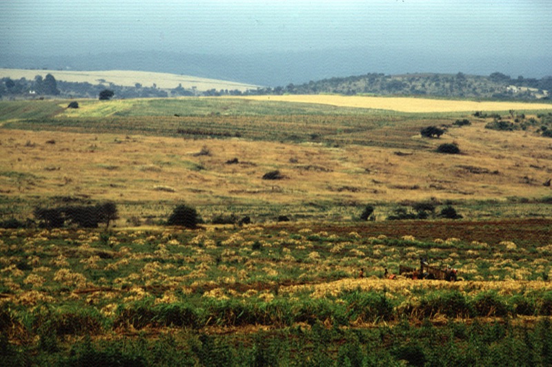 宮本常一 in tanzania