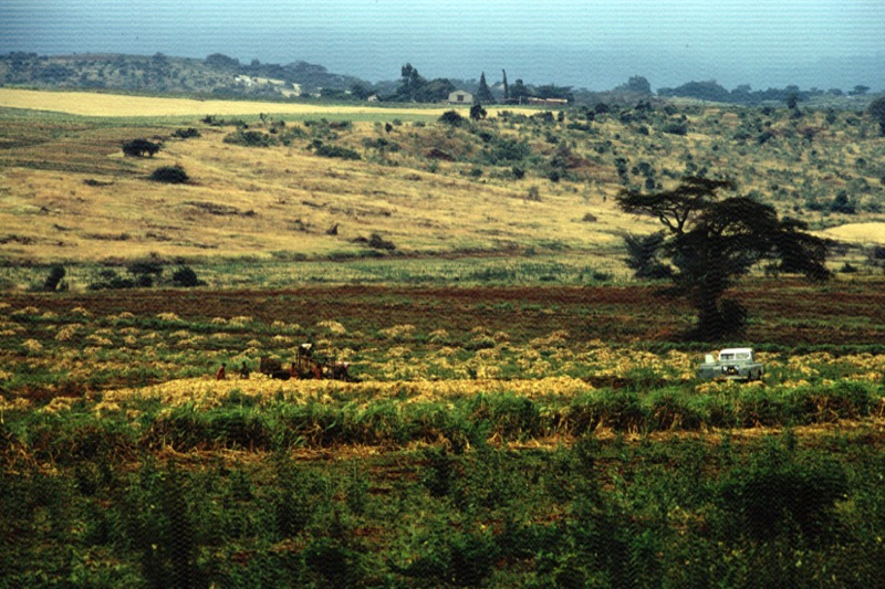 宮本常一 in tanzania