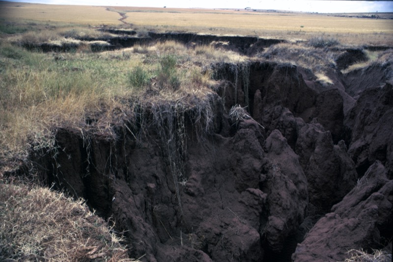 宮本常一 in tanzania