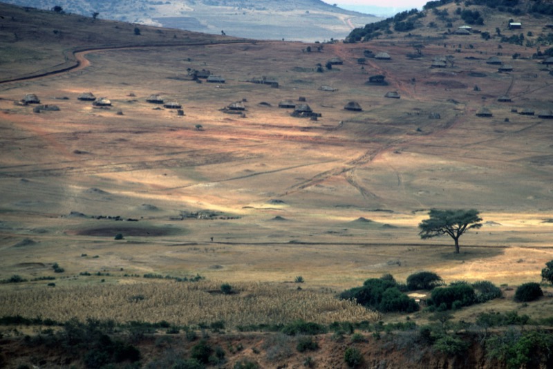 宮本常一 in tanzania