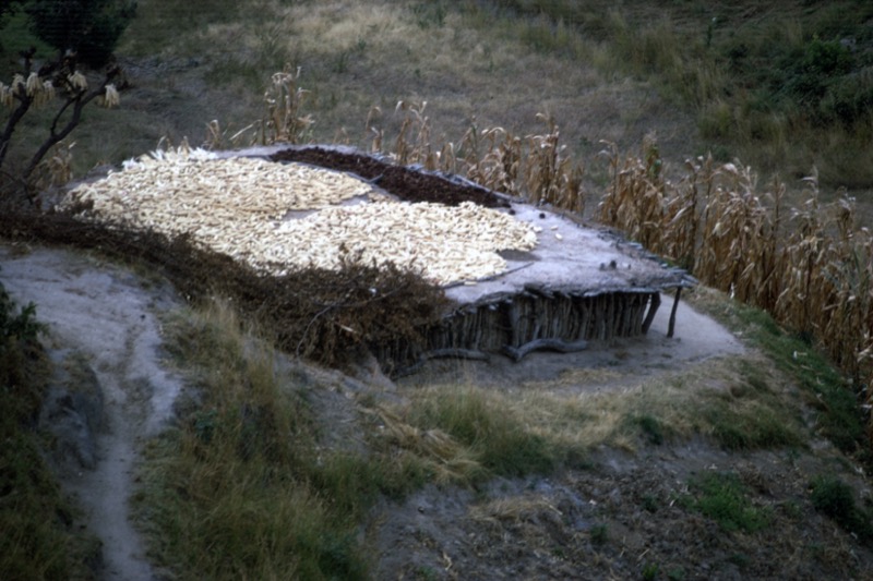 宮本常一 in tanzania