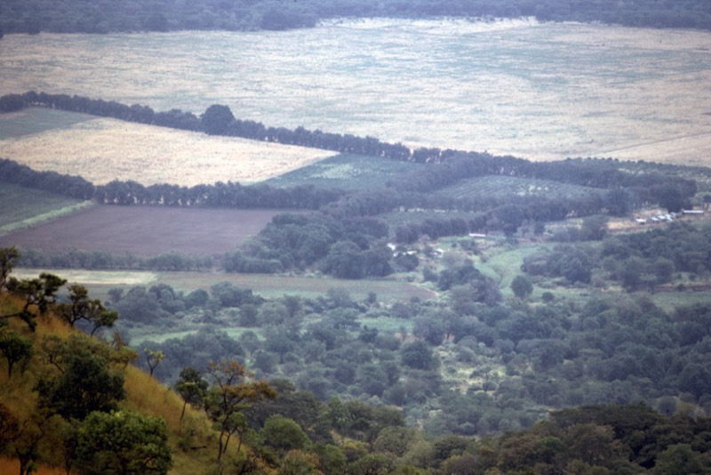 宮本常一 in tanzania