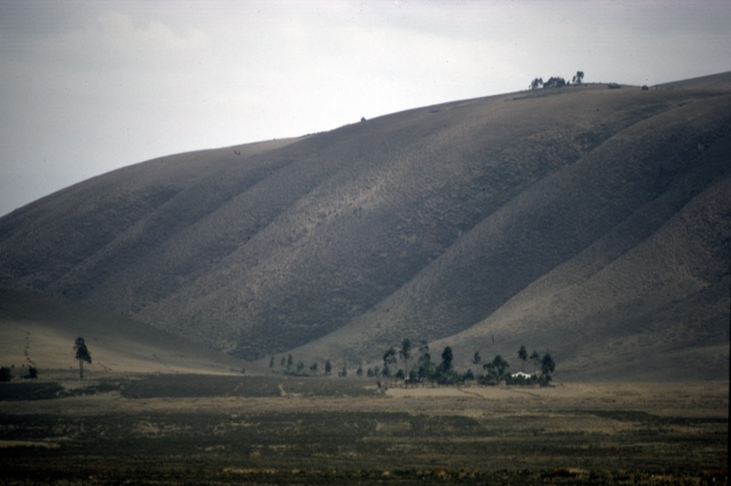 宮本常一 in tanzania