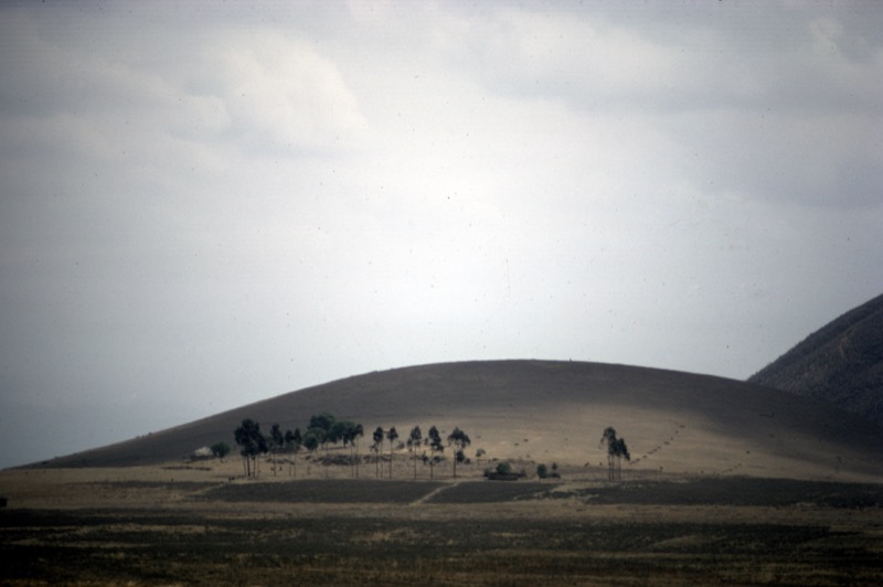 宮本常一 in tanzania