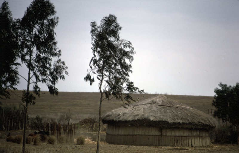 宮本常一 in tanzania