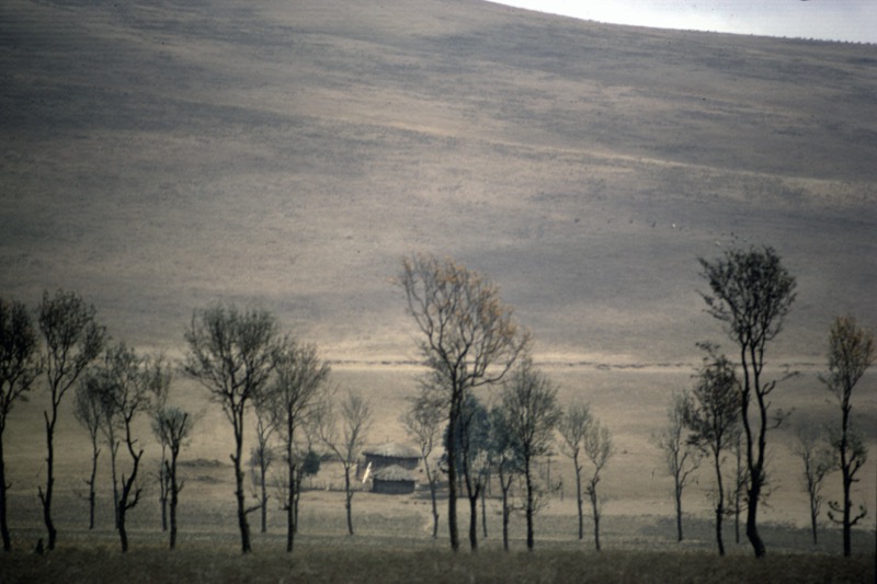 宮本常一 in tanzania